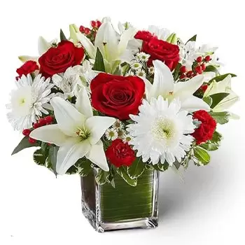 fiorista fiori di Aṣ-Ṣufuḥ 1- Romanticismo in pace Fiore Consegna