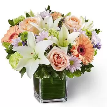 Ash-Sharqi kwiaty- Idealna miłość Kwiat Dostawy