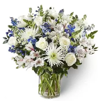 אבו דאבי חנות פרחים באינטרנט - פרחים משמחים זר פרחים