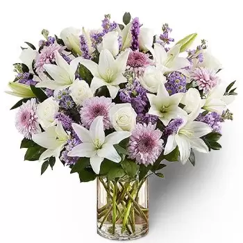 بائع زهور أبو ظبي- البراءة الأرجواني زهرة التسليم