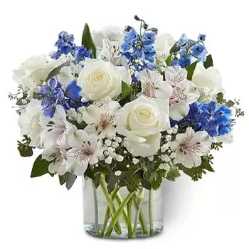 fiorista fiori di EMIRATI ARABI UNITI- Simbolo della regalità Fiore Consegna