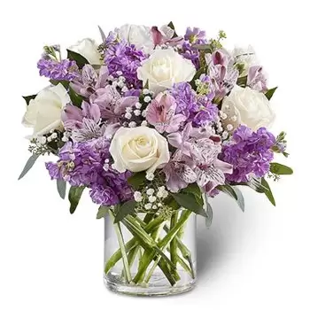 Al Selal kwiaty- Niezliczone atrakcje Kwiat Dostawy