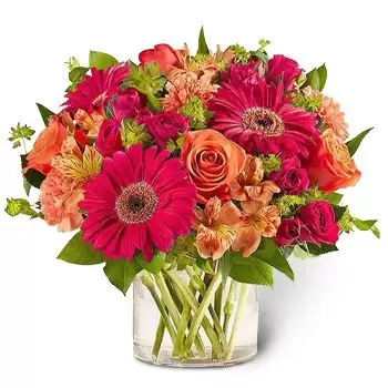 fiorista fiori di Fujairah Free Zone- Fioriture vivaci Fiore Consegna