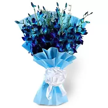 Discovery garden flowers  -  Royal Flowers Delivery