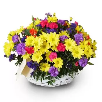 بائع زهور أنيلينك- التمنيات زهرة التسليم