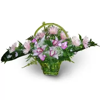 بائع زهور أوغستينكا- سلة الزهور 07 زهرة التسليم