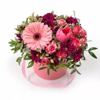 بائع زهور اليونان- القليل من التسمم - صندوق زهور زهرة التسليم