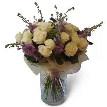 Αντωνίου-Κολώνια λουλούδια- ΟΜΟΡΦΙΑ Λουλούδι Παράδοση