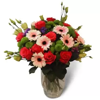 Badki λουλούδια- Μίνι ζέρμπερες Λουλούδι Παράδοση