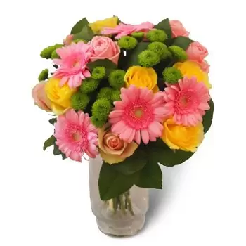 بائع زهور بادل- الورود الصفراء والوردية زهرة التسليم