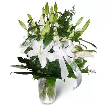 Aleksandrow kvety- Biela stuha Kvet Doručenie