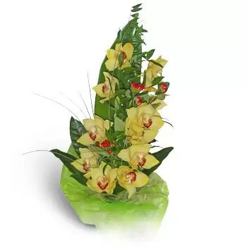 Annobor-Kolonia blomster- Grønn bukett Blomst Levering