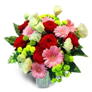 Warszawa blommor- Gerberas kärlek