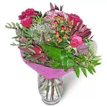 Baraki Chotumskie cvijeća- Otmjeno Cvijet Isporuke