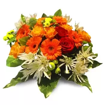 Antoninow blommor- Vacker bukett Blomma Leverans