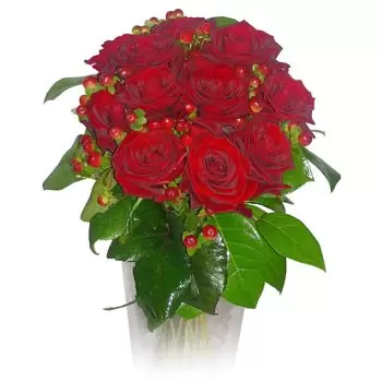 Aleksandrow rože- Fancy Cvet Dostava
