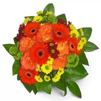 ורשה פרחים- חיוך מתוק זר פרחים/סידור פרחים