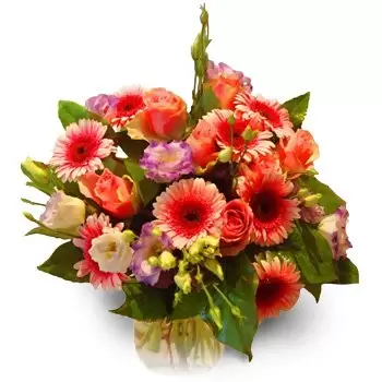 Aleksandria Niedzialowska blommor- lyckönskningar Blomma Leverans