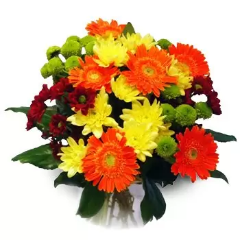 Baczal Gorny blommor- Lycklig Blomma Leverans