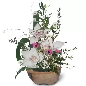 بائع زهور بالوبياني- واحد خاص زهرة التسليم