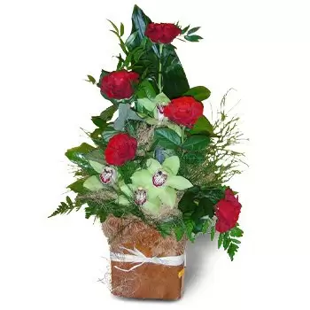 Banie Mazurskie rože- Luksuzna škatla Cvet Dostava