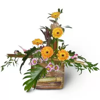 Baciki Blizsze λουλούδια- Κίτρινο πράσινο Λουλούδι Παράδοση