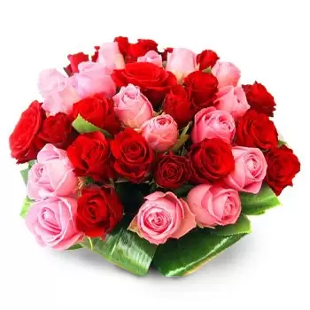 Alfonsow blomster- Rosa og roser Blomst Levering