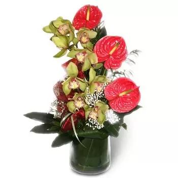 Warszawa blommor- Paradis