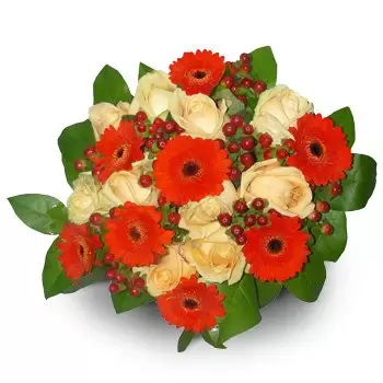 Adamow-Parcel λουλούδια- Ανθισμένη Έκπληξη Λουλούδι Παράδοση