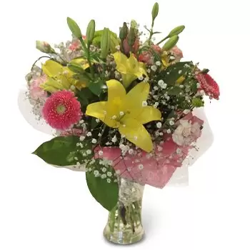 flores de Polônia- Multitoque Flor Entrega