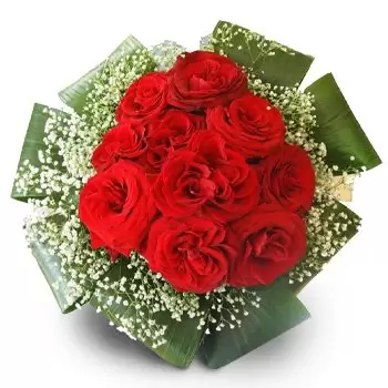 Bandysie rože- Rdeče letalo Cvet Dostava
