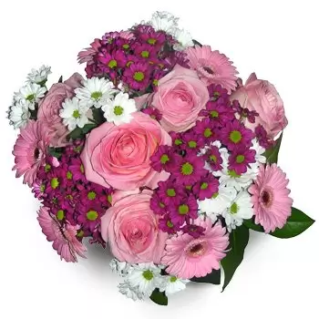 Anielowka blommor- Vit & Rosa Blomma Leverans