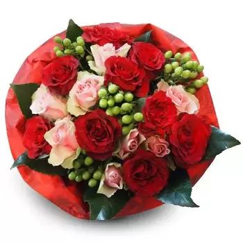 Bielsko-Biala flowers  -  warm wishes Flower Delivery