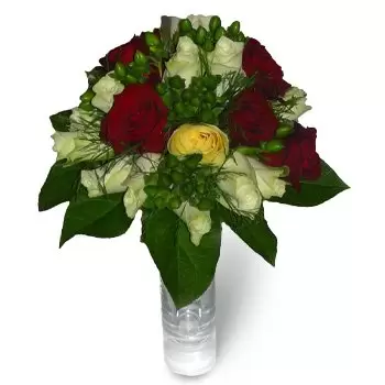 Arbasy Duze blommor- Grön & Röd Blomma Leverans