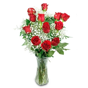 Дъблин цветя- Обилно червено Цвете Доставка