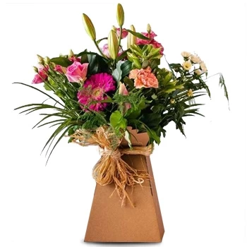 flores Dublin floristeria -  Alegre Ramos de  con entrega a domicilio