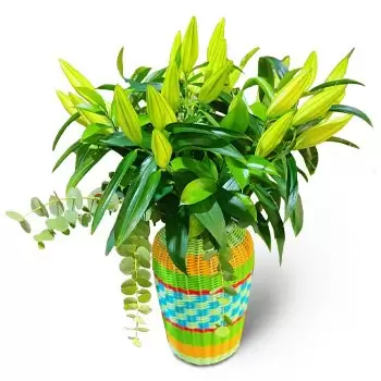 Ibiza flowers  -  Green  Bouquet 1