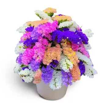 Πουέρτο ντε Σαν Μιγκέλ λουλούδια- Πολύχρωμα Vibes Λουλούδι Παράδοση
