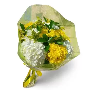 S Eixample λουλούδια- Λιακάδα Λουλούδι Παράδοση