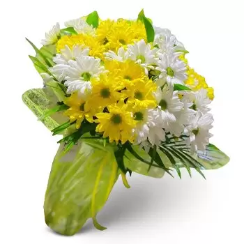 Pou des Lleo bunga- Pernah Tersenyum Bunga Pengiriman