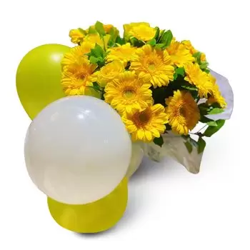 Pou des Lleo λουλούδια- Διάταξη ζέρμπερας Λουλούδι Παράδοση