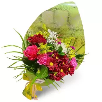 Πλάγια Ντεν Μπόσα λουλούδια- Ειδική περίπτωση Λουλούδι Παράδοση