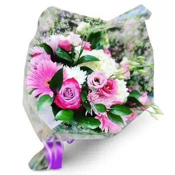 Cala Tarida kvety- Ideálne Kvet Doručenie