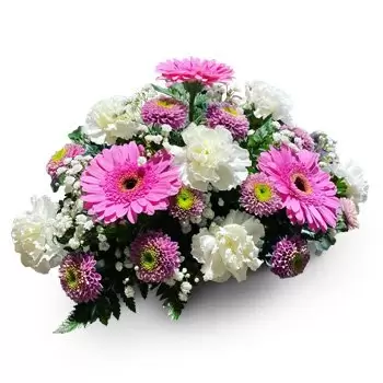 Κάλα Μπόιξ λουλούδια- Φαντασία Λουλούδι Παράδοση