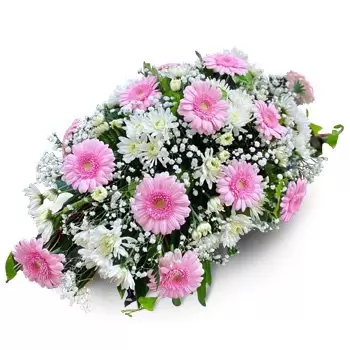 بائع زهور كالا بادا- ترتيبات رشيقة زهرة التسليم