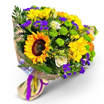 بائع زهور سان خوان- عش جميل زهرة التسليم