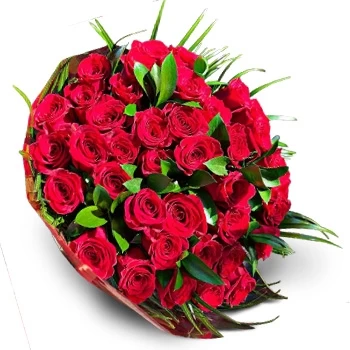 Σάντα Ίνες λουλούδια- Κόκκινη λιχουδιά Λουλούδι Παράδοση