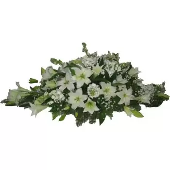 Katar cvijeća- Sprej bijeli lijes Cvijet Isporuke