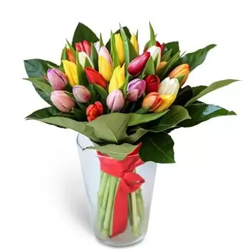 Kvetoslavov kukat- Kimppu värikkäitä tulppaaneja Kukka Toimitus
