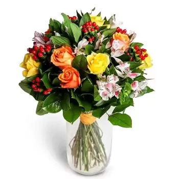 ברטיסלבה פרחים- יופי מעורב פרח משלוח